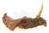 Lot #537 - PREHISTORIC BEAST (1985) - Phil Tippett Collection: Single-Horned Dinosaur Puppet Head - 5
