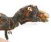 Lot #538 - PREHISTORIC BEAST (1985) - Phil Tippett Collection: Stop-Motion Tyrannosaurus Puppet - 6