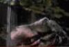 Lot #538 - PREHISTORIC BEAST (1985) - Phil Tippett Collection: Stop-Motion Tyrannosaurus Puppet - 9