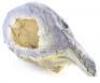 Lot #541 - PROMETHEUS (2012) - Partial Foam Engineer Helmet - 5