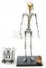 Lot #560 - ROCKETEER, THE (1991) - Stop-Motion Rocketeer Puppet Armature and Related Production Ephemera