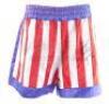 Lot #571 - ROCKY V (1990) - Tommy Gunn's (Tommy Morrison) Autographed Boxing Trunks