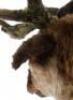 Lot #574 - SANTA CLAUSE 2, THE (2002) - Pair of Reindeer Heads With Antlers - 2