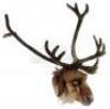 Lot #574 - SANTA CLAUSE 2, THE (2002) - Pair of Reindeer Heads With Antlers - 7