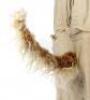Lot #594 - SPACEBALLS (1987) - Barf's (John Candy) Costume - 6