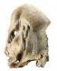 Lot #621 - STAR TREK: DEEP SPACE NINE (T.V. SERIES, 1993-1999) - Promenade Alien Mask - 5