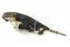 Lot #630 - STAR TREK: VOYAGER (T.V. SERIES, 1995-2001) - Screen-Matched Kazon Predator-Class Carrier Wreck Model Miniature - 3
