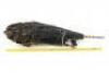 Lot #630 - STAR TREK: VOYAGER (T.V. SERIES, 1995-2001) - Screen-Matched Kazon Predator-Class Carrier Wreck Model Miniature - 8