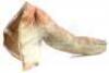 Lot #658 - STAR WARS: THE PHANTOM MENACE (1999) - Jar Jar Binks' (Ahmed Best) Arm