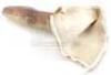 Lot #658 - STAR WARS: THE PHANTOM MENACE (1999) - Jar Jar Binks' (Ahmed Best) Arm - 6