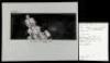Lot #670 - STAR WARS: A NEW HOPE (1977) - Hand-Drawn Pirate Ship Storyboard - 4