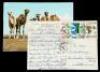 Lot #674 - STAR WARS: A NEW HOPE (1977) - Postcard Sent by Marcia Lucas During Filming