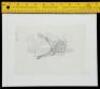 Lot #697 - STAR WARS: THE EMPIRE STRIKES BACK (1980) - Hand-Drawn Ralph McQuarrie Luke Skywalker Concept Sketch - 4