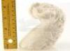 Lot #702 - STAR WARS: THE EMPIRE STRIKES BACK (1980) - Early Tauntaun Puppet Sculpt Head Casting - 8