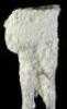 Lot #711 - STAR WARS: THE EMPIRE STRIKES BACK (1980) - Special Edition Wampa Cave Icicles - 3