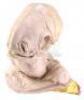 Lot #727 - STAR WARS: RETURN OF THE JEDI (1983) - Phil Tippett Collection: Admiral Ackbar (Tim Rose) Silicone Head Casting from Original Molds - 3