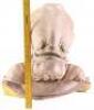 Lot #727 - STAR WARS: RETURN OF THE JEDI (1983) - Phil Tippett Collection: Admiral Ackbar (Tim Rose) Silicone Head Casting from Original Molds - 11