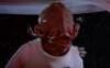 Lot #727 - STAR WARS: RETURN OF THE JEDI (1983) - Phil Tippett Collection: Admiral Ackbar (Tim Rose) Silicone Head Casting from Original Molds - 12