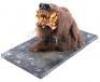 Lot #743 - CARAVAN OF COURAGE: AN EWOK ADVENTURE (1984) - Phil Tippett Collection: Boar-Wolf Head Maquette - 2
