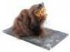 Lot #743 - CARAVAN OF COURAGE: AN EWOK ADVENTURE (1984) - Phil Tippett Collection: Boar-Wolf Head Maquette - 3