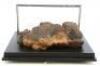 Lot #744 - CARAVAN OF COURAGE: AN EWOK ADVENTURE (1984) - Phil Tippett Collection: Dying Boar-Wolf Maquette Display - 4