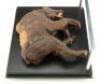 Lot #744 - CARAVAN OF COURAGE: AN EWOK ADVENTURE (1984) - Phil Tippett Collection: Dying Boar-Wolf Maquette Display - 7