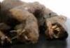 Lot #744 - CARAVAN OF COURAGE: AN EWOK ADVENTURE (1984) - Phil Tippett Collection: Dying Boar-Wolf Maquette Display - 8
