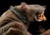 Lot #744 - CARAVAN OF COURAGE: AN EWOK ADVENTURE (1984) - Phil Tippett Collection: Dying Boar-Wolf Maquette Display - 9