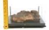 Lot #744 - CARAVAN OF COURAGE: AN EWOK ADVENTURE (1984) - Phil Tippett Collection: Dying Boar-Wolf Maquette Display - 10