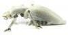 Lot #756 - STARSHIP TROOPERS (1997) - Phil Tippett Collection: Tanker Bug Stop-Motion Training Puppet - 4