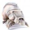Lot #761 - STARSHIP TROOPERS (1997) - Phil Tippett Collection: Brain Bug Maquette - 5