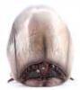 Lot #761 - STARSHIP TROOPERS (1997) - Phil Tippett Collection: Brain Bug Maquette - 7