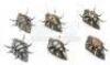 Lot #762 - STARSHIP TROOPERS (1997) - Phil Tippett Collection: Set of Six Chariot Bug Maquettes - 5