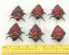 Lot #762 - STARSHIP TROOPERS (1997) - Phil Tippett Collection: Set of Six Chariot Bug Maquettes - 8