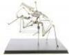 Lot #764 - STARSHIP TROOPERS (1997) - Phil Tippett Collection: Warrior Bug Stop-Motion Training Puppet - 6