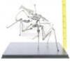 Lot #764 - STARSHIP TROOPERS (1997) - Phil Tippett Collection: Warrior Bug Stop-Motion Training Puppet - 10