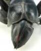 Lot #765 - STARSHIP TROOPERS (1997) - Phil Tippett Collection: Tanker Bug Maquette - 6