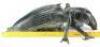 Lot #765 - STARSHIP TROOPERS (1997) - Phil Tippett Collection: Tanker Bug Maquette - 9