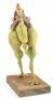 Lot #807 - PHIL TIPPETT PERSONAL PROJECT (C. 1990) - Phil Tippett Collection: Rider on Green Beast Maquette - 5