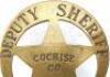 Lot #810 - TOMBSTONE (1993) - Cochise County Deputy Sheriff Badge - 2