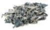 Lot #833 - TWILIGHT SAGA, THE: NEW MOON (2009) - Phil Tippett Collection: Jacob Black's (Taylor Lautner) Shredded Jeans - 2