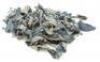 Lot #833 - TWILIGHT SAGA, THE: NEW MOON (2009) - Phil Tippett Collection: Jacob Black's (Taylor Lautner) Shredded Jeans - 3