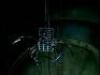 Lot #860 - WILD WILD WEST, THE (1999) - Music Video Mechanical Spider - 11