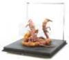 Lot #861 - WILLOW (1988) - Phil Tippett Collection: Baby Eborsisk Tentacles Display - 4