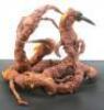 Lot #861 - WILLOW (1988) - Phil Tippett Collection: Baby Eborsisk Tentacles Display - 6