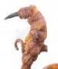 Lot #861 - WILLOW (1988) - Phil Tippett Collection: Baby Eborsisk Tentacles Display - 8