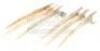 Lot #865 - X-MEN ORIGINS: WOLVERINE (2009) - Wolverine's (Hugh Jackman) Pair of Bone Claws - 3