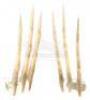 Lot #865 - X-MEN ORIGINS: WOLVERINE (2009) - Wolverine's (Hugh Jackman) Pair of Bone Claws - 7