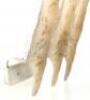Lot #865 - X-MEN ORIGINS: WOLVERINE (2009) - Wolverine's (Hugh Jackman) Pair of Bone Claws - 8