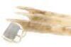 Lot #865 - X-MEN ORIGINS: WOLVERINE (2009) - Wolverine's (Hugh Jackman) Pair of Bone Claws - 10